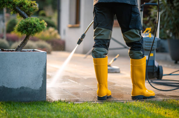 Best Window Cleaning in North Key Largo, FL